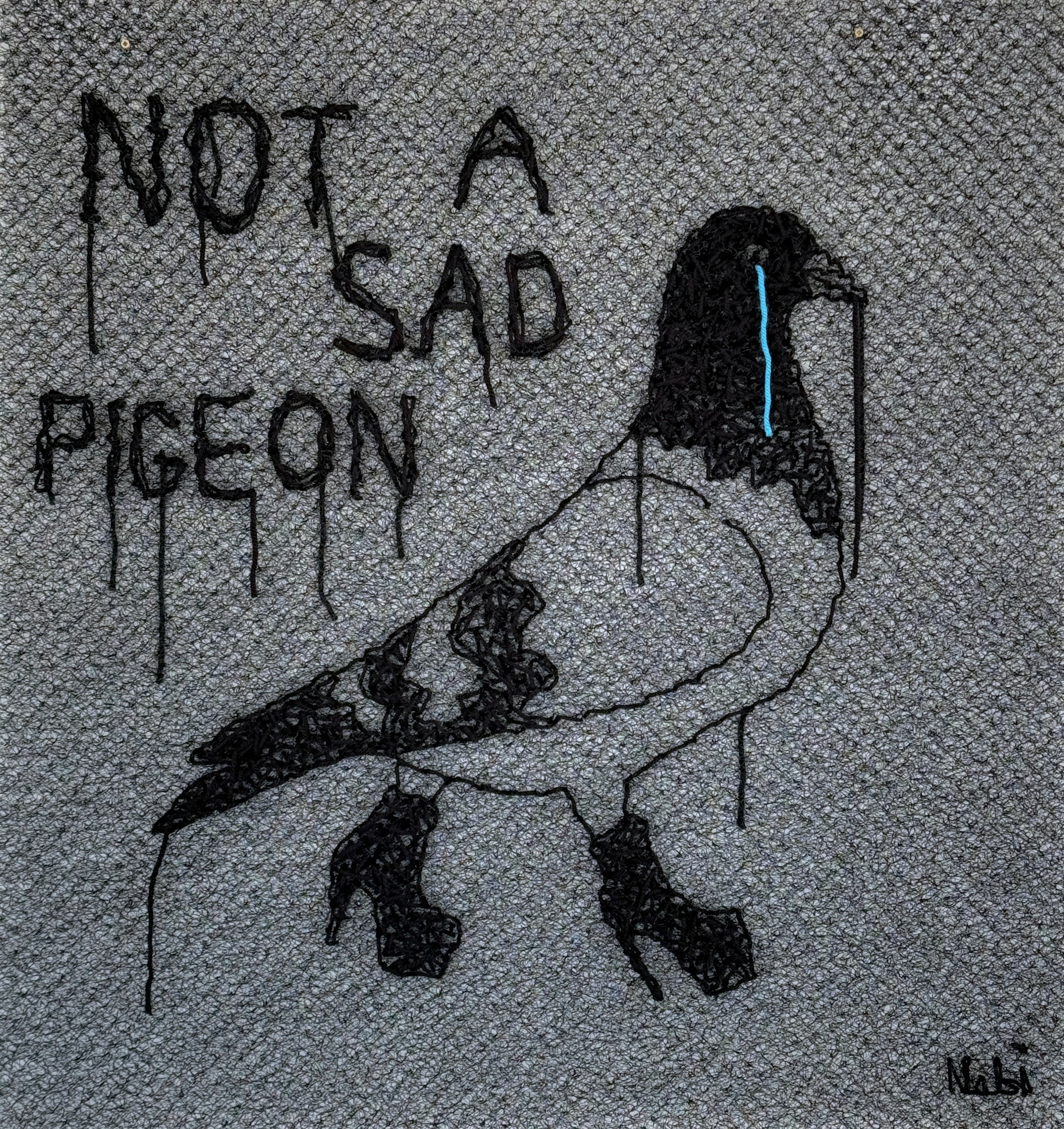 NOT A SAD PIGEON